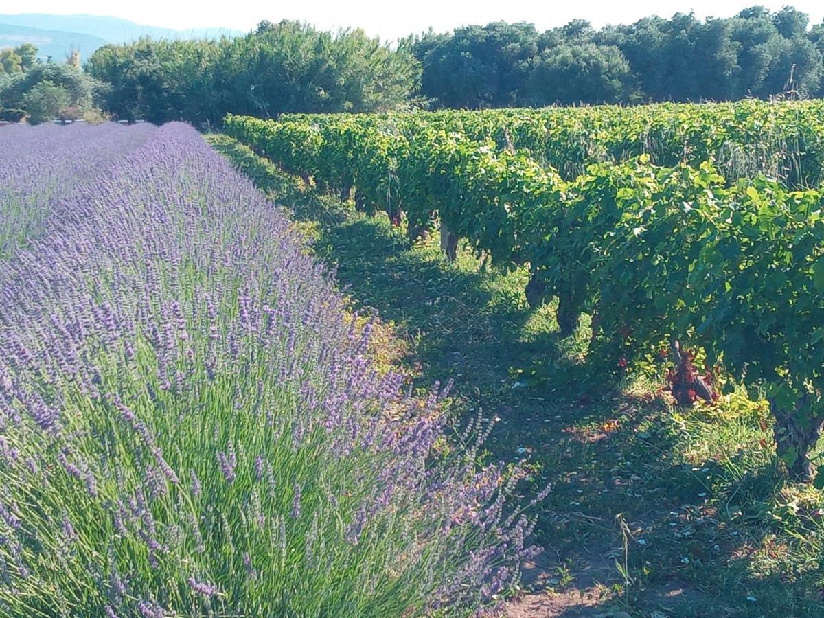 Agriturismo Il Melograno Риола Сардо Екстериор снимка