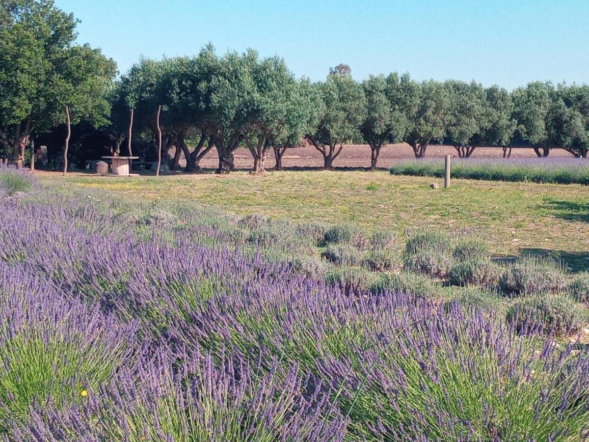 Agriturismo Il Melograno Риола Сардо Екстериор снимка