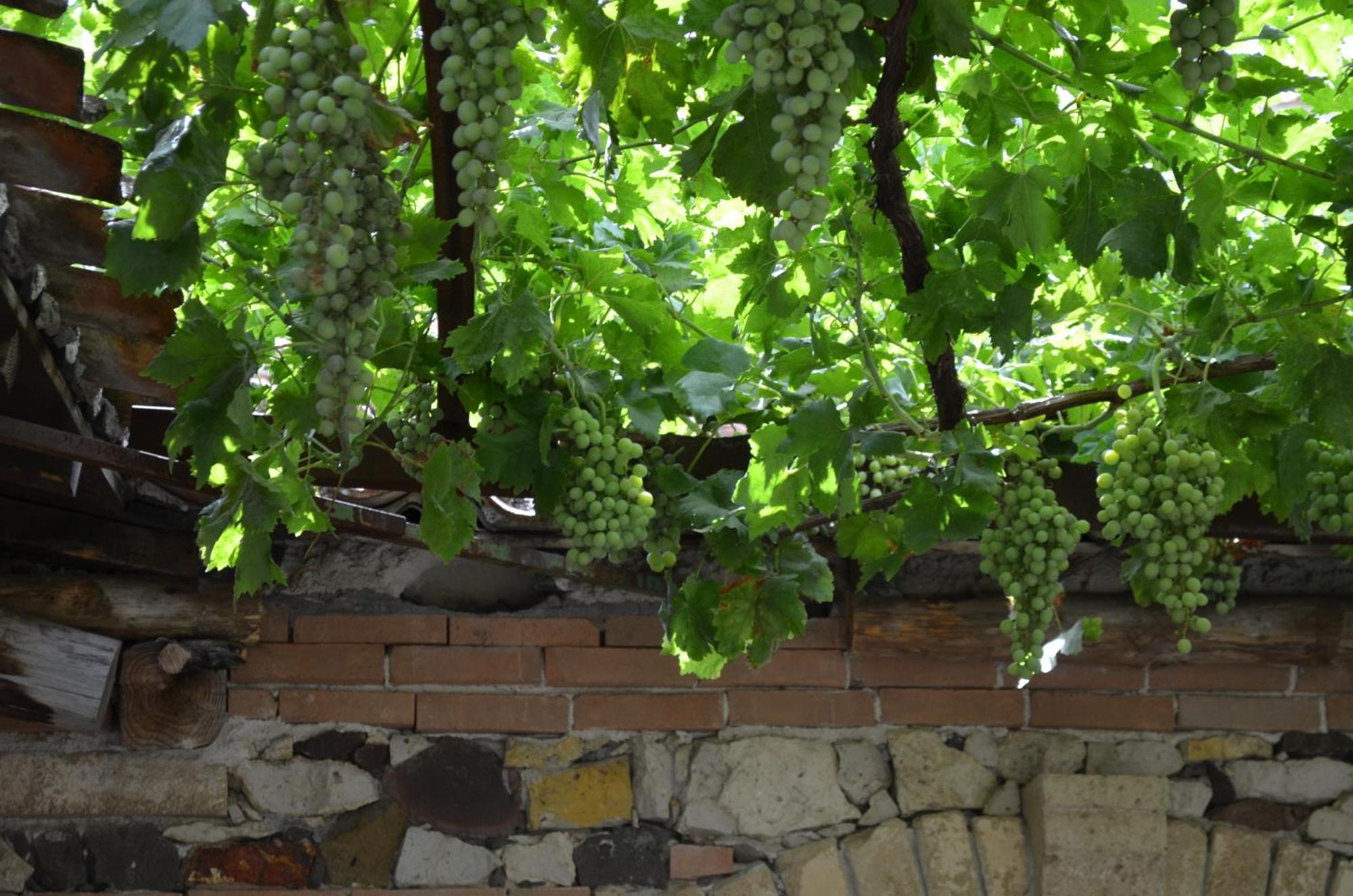 Agriturismo Il Melograno Риола Сардо Екстериор снимка