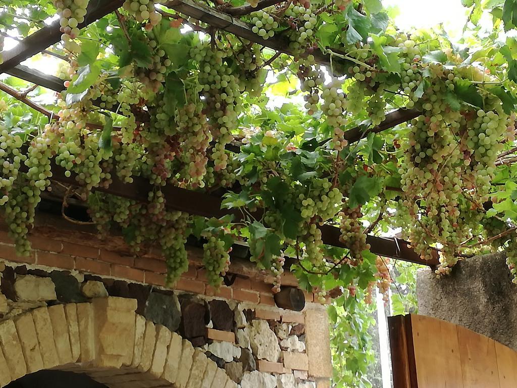Agriturismo Il Melograno Риола Сардо Екстериор снимка