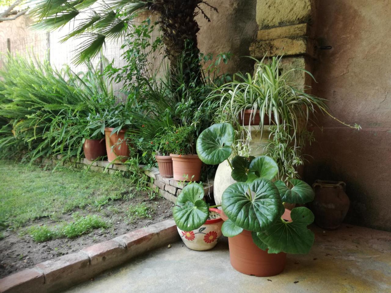 Agriturismo Il Melograno Риола Сардо Екстериор снимка